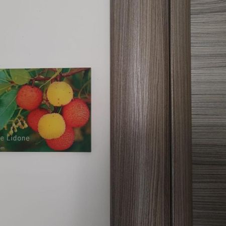 Sa Mama 'E Su Sole Bed & Breakfast Cagliari Exterior photo